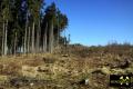 Diabasbombentuffklippen NW des Autobahndreieck Hochfranken (A72-A93) bei Hof, Bayern, (D) (4) 09. Februar 2011.JPG